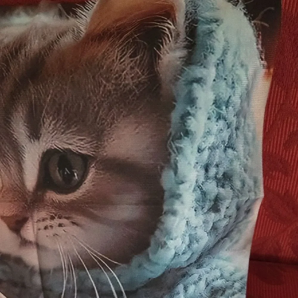 NWOT Cozy Cat Pillow Cover with Smartphone Design